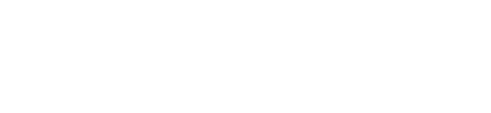 Finamex Logo